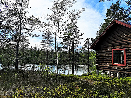 Korptjern: Advarsel på hytta om overvåking via viltkamera. Plaget av herverk. 