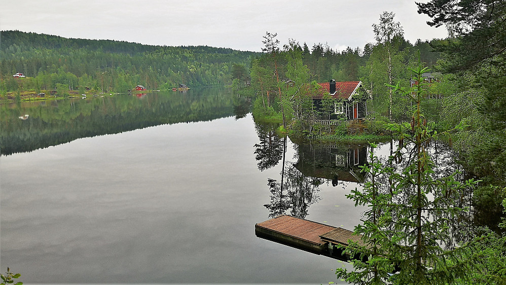Lauvtjern