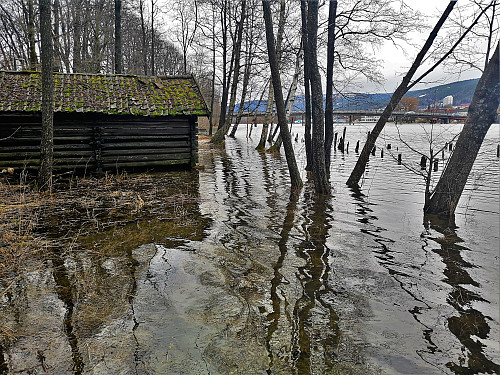 Høy vannstand i elva