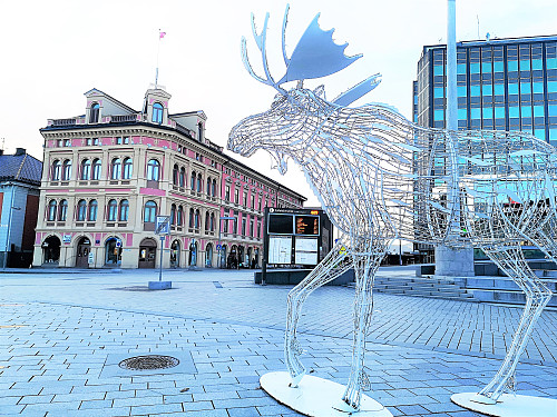 Ganske kul denne elgen på Strømsø Torg