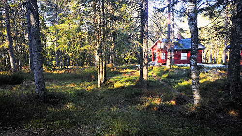 Trivelig hytte på Landfallbrenna