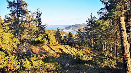 Buståsen