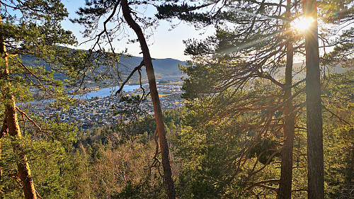 Buståsen