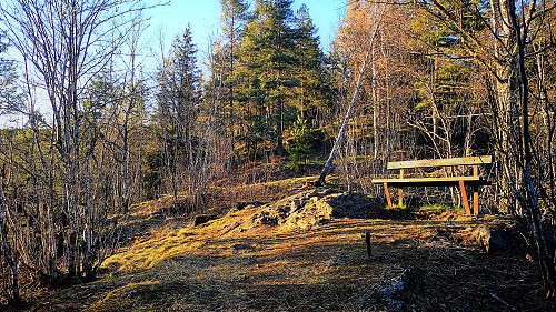 Buståsen