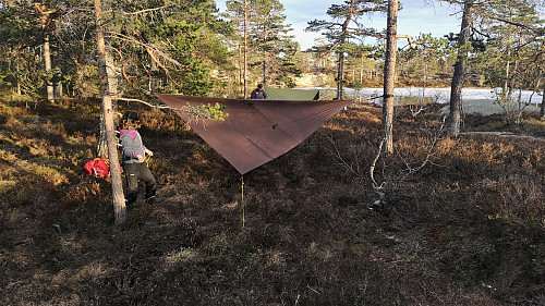 Rigging av køyer og telt 