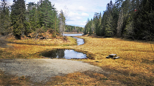 Svartjern - vannet som er i ferd med å forsvinne ... Litt trist. 