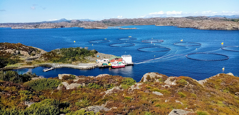 Fra Punktet mot nord. Et av utallige oppdrettsanlegg 