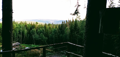 Utsikt fra tretopphytta