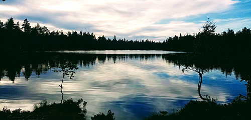 Skimtvannet