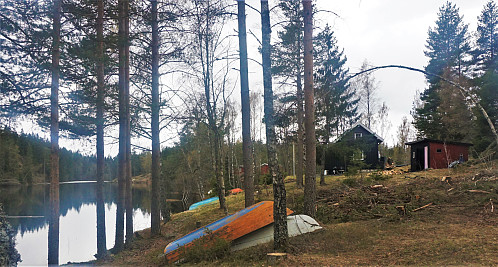 Svarttjern