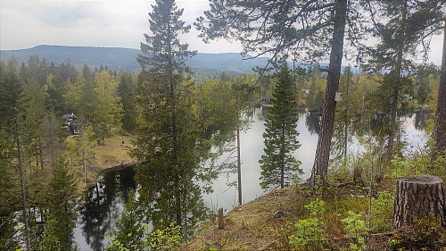 Svarttjern