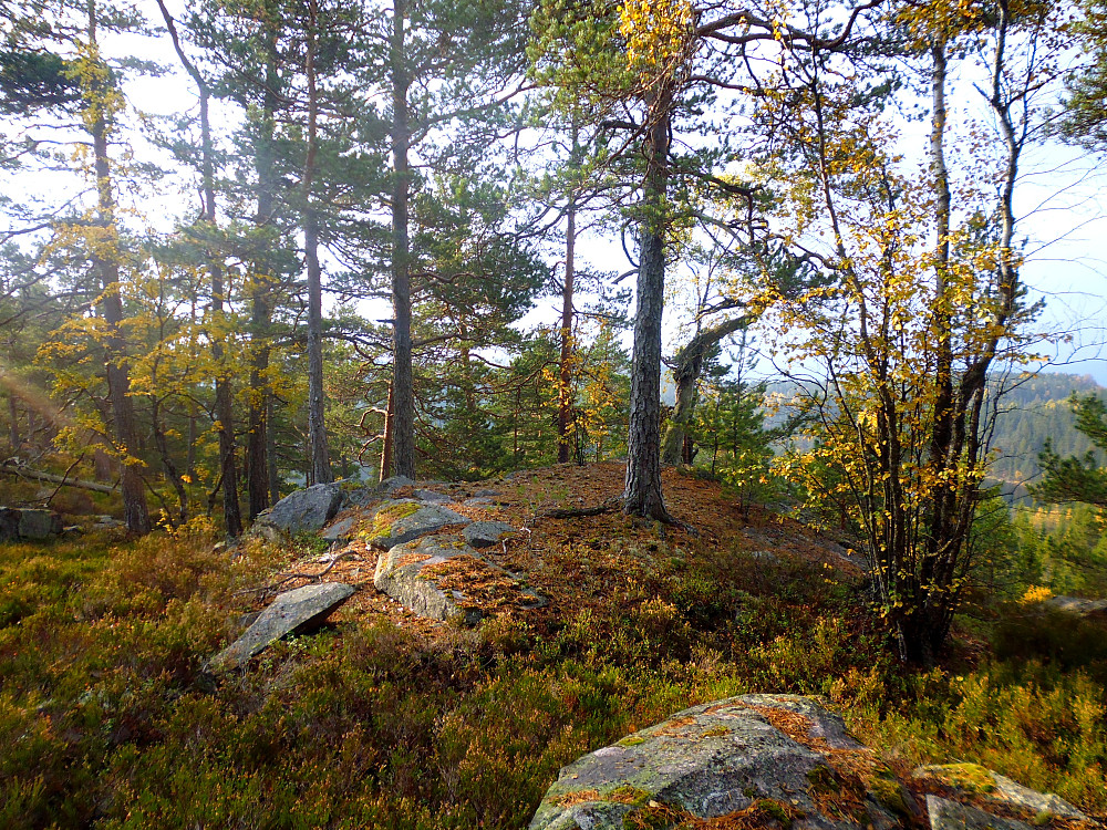 Finnefjell