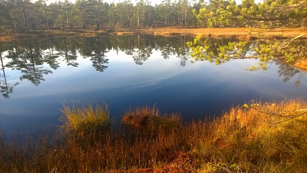 Skimtvann