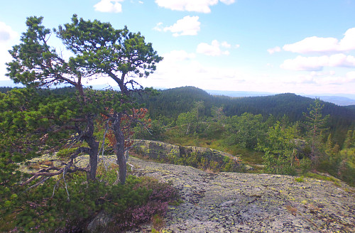 Urdsdokka, toppen. 