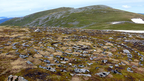 Den Julianske Borg med Vardehornet (986 moh.) og Isflåna (964 moh.) i bakgrunnen.