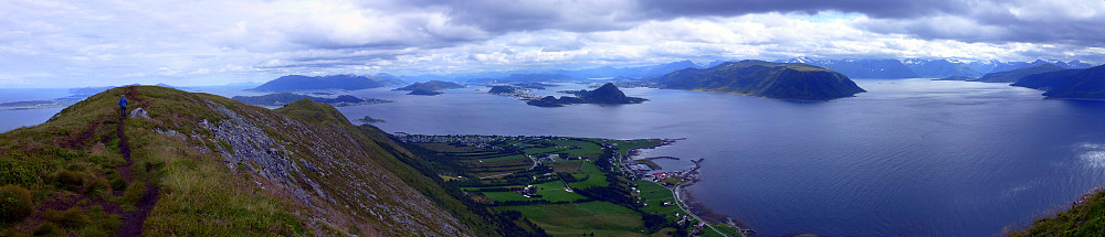 Alnes.