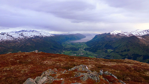 Nordfjordeid frå Vedviknibba (729 m.o.h.)