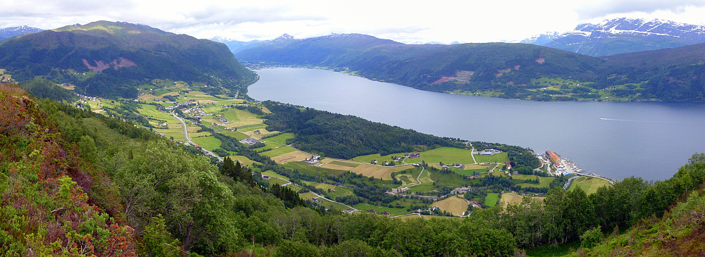 Haugen sett frå Naustdalskammen.