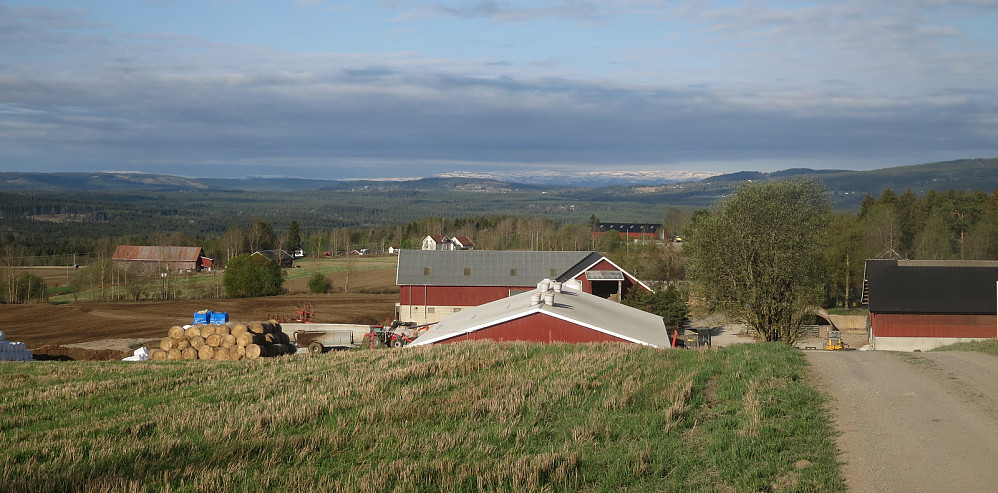 Utsikt fra Finstad mot Vikerfjell