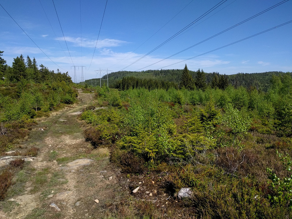 Utsikt mot Rognkleivåsen