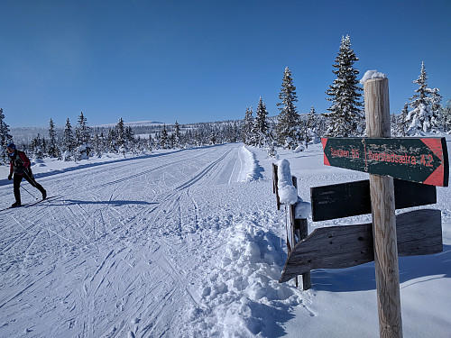 Utsikt mot Snørvillen fra Birkebeinerløypa