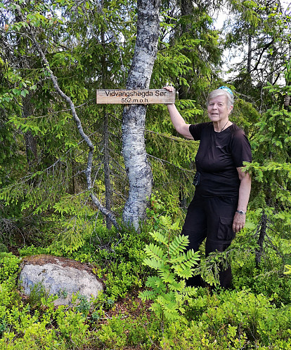 Vi oppdaget på tilbakeveien at det er to topper som heter Vidvangshøgda sør. Dette er den som stemmer med gps koordinatene.