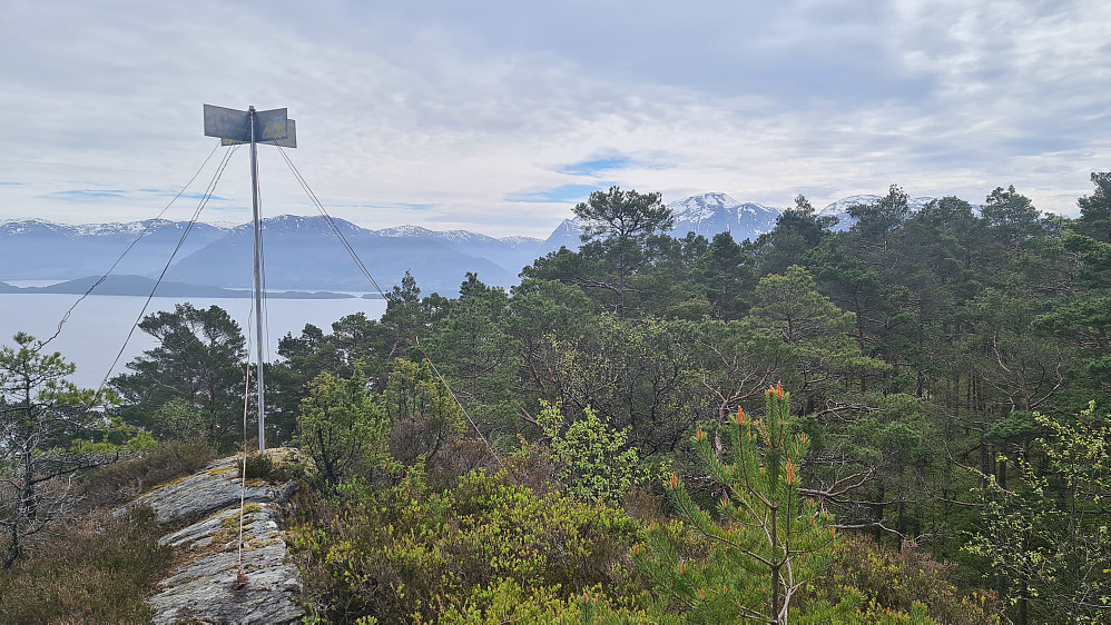 Ølveshovda 252m