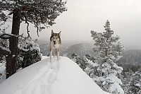 19topper_20160109_56904eb1609d2.jpg
