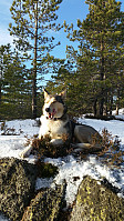 19topper_20160204_56b3be8560dd8.jpg
