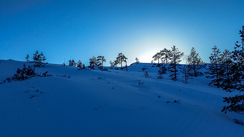 Sniff kjenner de fleste toppen i Vestfold etter hvert. Så han stikker alltid i forveien, og sitter å følger med på turen min oppover. Stikker nedom innimellom til meg for å sjekke, når det tar for lang tid. Ser du han på bildet??