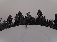 Sniff har vært og sjekket toppen:)