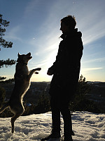 Danser med Huskeyer 