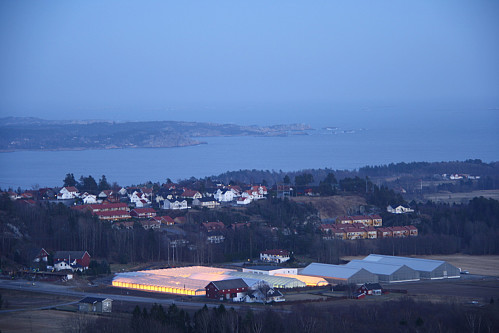 Larviksfjorden fra Salsås utsiktspunkt 