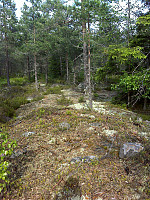 19topper_vestfjella.jpg
