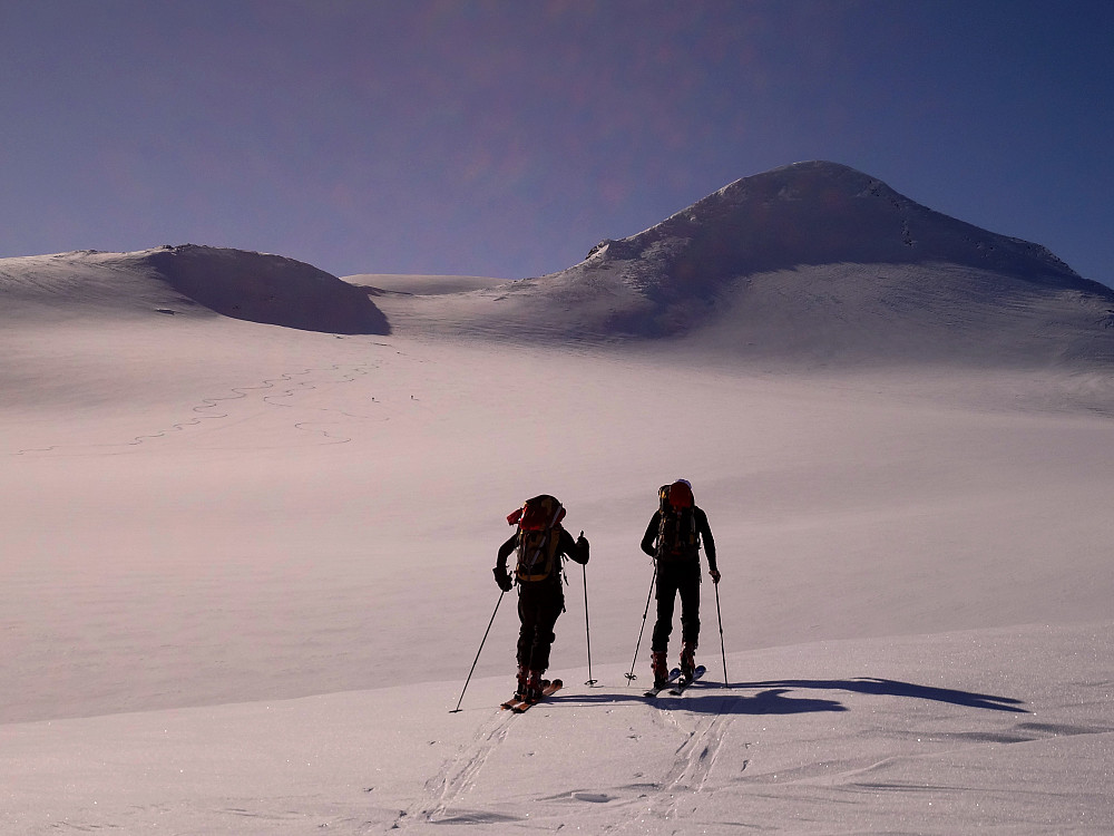 Dag og Ragnar i godt driv over Høgvaglbreen. Vi gikk opp i skaret til venstre, rundet bak opp til toppen. Nedkjøring på ryggen til høyre før vi dro inn der nordsiden. Nydelig nedkjøring!