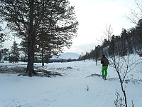 AndersNM_20150222_54ea268f58587.jpg