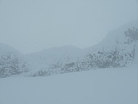 AndersNM_20150405_55215c6a942e2.jpg