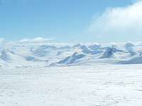 AndersNM_20150405_5521691334827.jpg