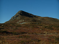 AndersNM_20150928_56086cf49390d.06.16.jpg