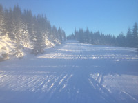 AndersNM_20170115_587baf799ed8e.jpg