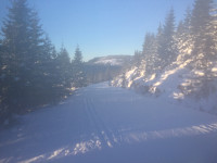 AndersNM_20170115_587baf7f24bfb.jpg