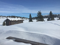 AndersNM_20170311_58c423c52f952.jpg