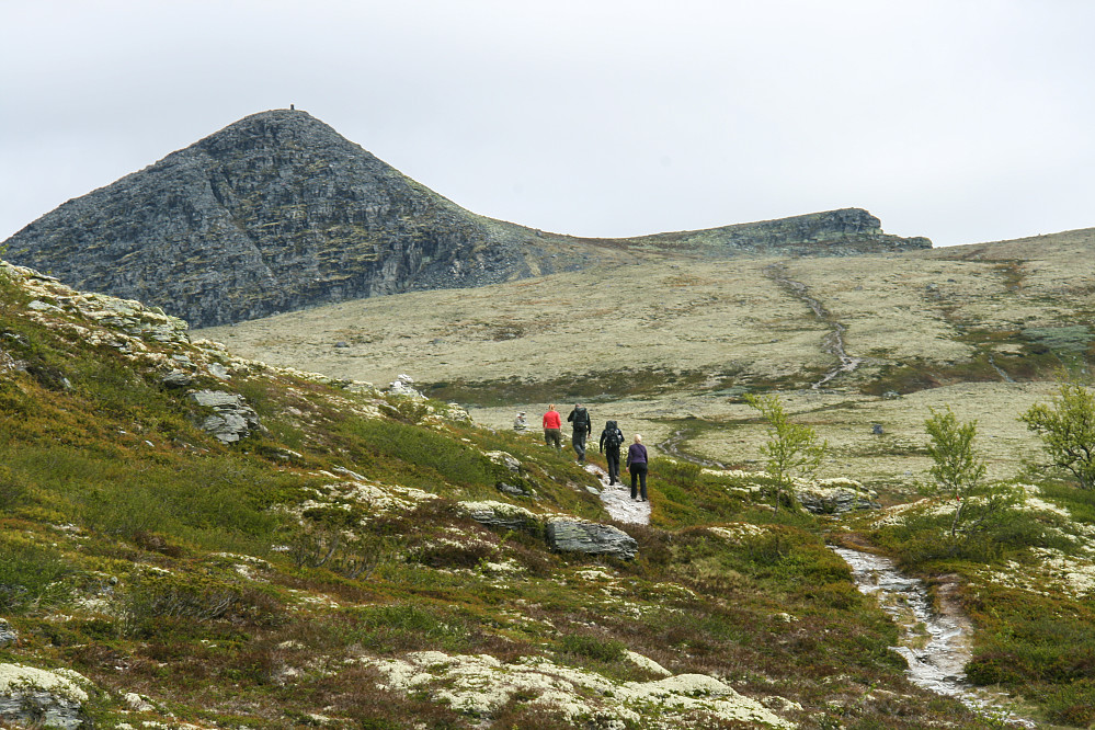Mot Raudsjøpiggen på merket sti fra Raudsjødalen.