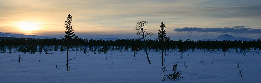Solnedgang og snøbyge over Gråhøgda.