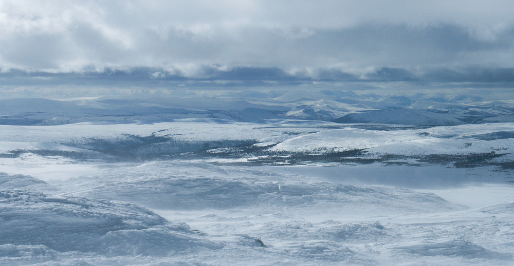 Fra Gråhøgda kan man se helt bort til Rondane.