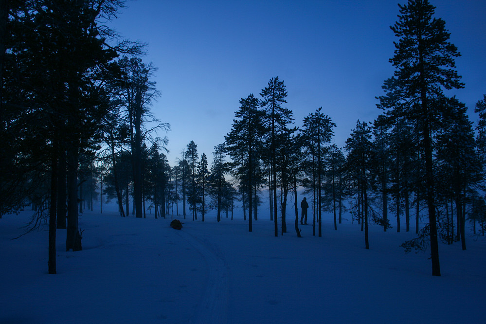 Kveld helt ytterst på Femundsenden