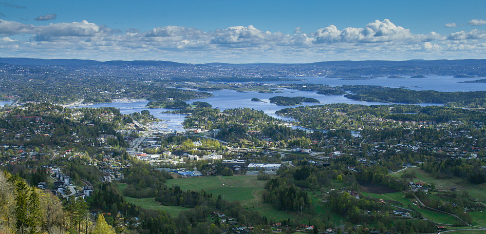 Utsikt fra Skaugumsåsen.