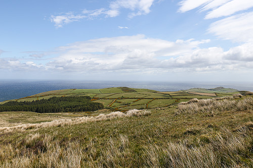 Grønt og fint på Isle of Man.