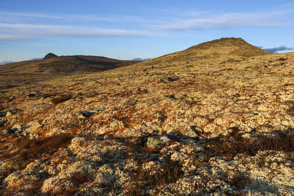 Brennhøgda (til høyre) er kanskje ikke så imponerende når man kommer tett på, men utsikten derfra er det ikke noe å si på.