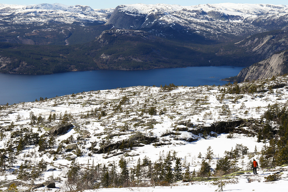 På vei ned fra toppen. Snøgrensa lå omtrent på den flata i forgrunnen på ca 800 moh. Lavere enn dette lå det stort sett bare nysnø.